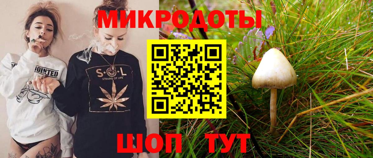 Ишимбай  Псилоцибиновые грибы Psilocybe  Вход с VPN 